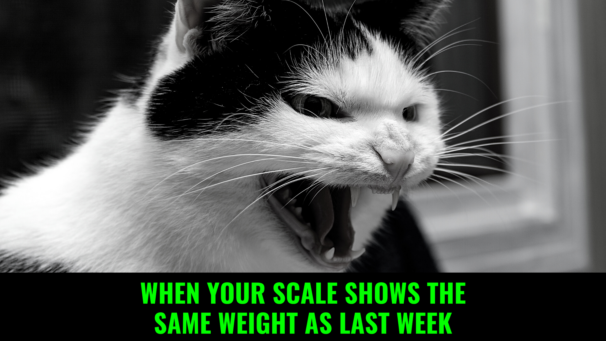 5 Reasons Why You’re Not Losing Weight Even When Exercising Regularly