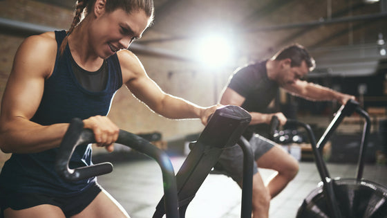 The Scientific Reason Why You Should Be Doing Cardio Year-Round for Better Muscle Growth