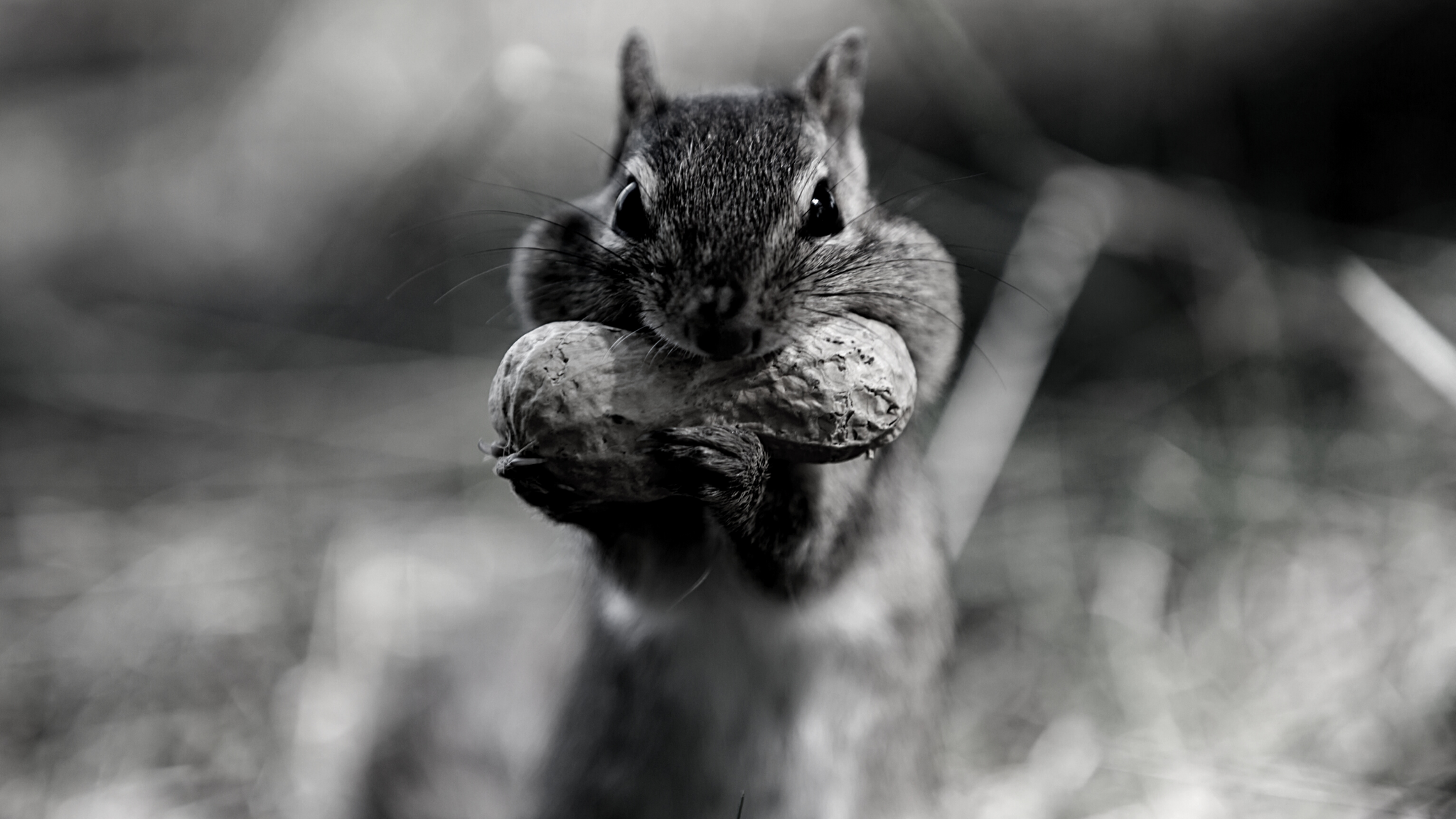 MAKE IT THROUGH THANKSGIVING WITHOUT FEELING LIKE A STUFFED TURKEY