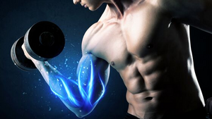 The Best Way to Build Muscle: How Much?