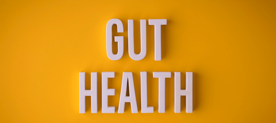 Digestion and Gut Health