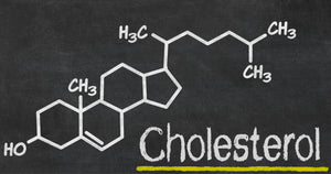 High LDL Cholesterol Builds Big Muscles