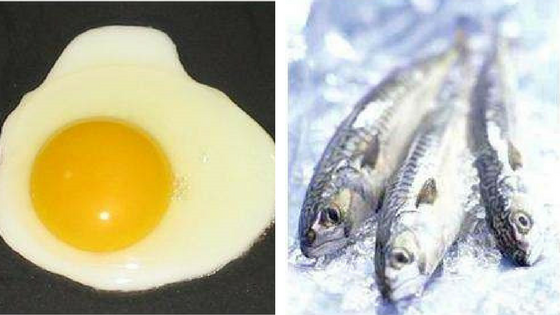 Inflammation for Muscle Growth