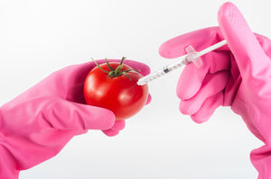 Genetically Modified Foods: Healthy or Dangerous?