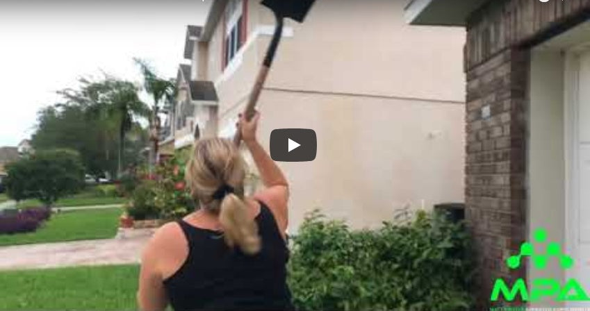 When Bees attack, Natalia Coelho and Mom